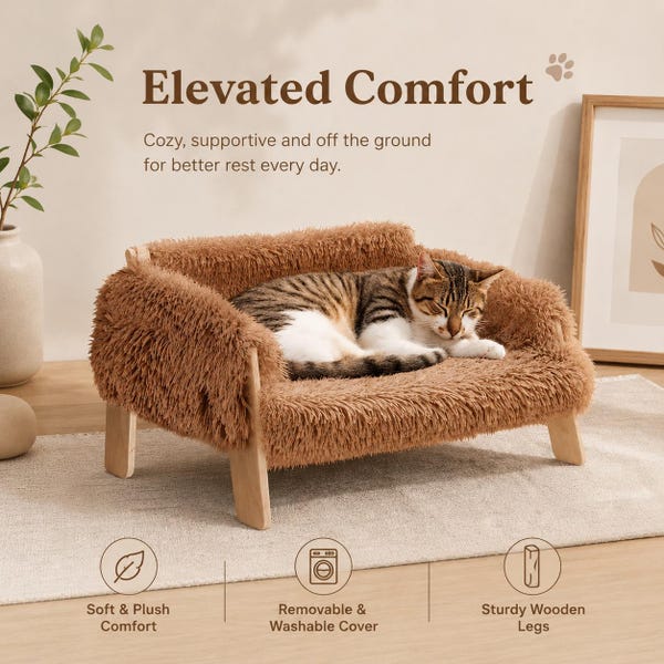 Elevated Plush Cat Bed Sofa | Wooden Legs, Washable Cover, Small Dog Couch
