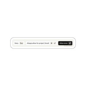 May include: A white and gray user interface element with rounded corners. The text includes "Deny", "Esc", "Always allow for project (local)", and "Allow once". The "Allow once" button is black.