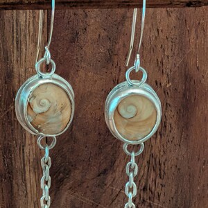 May include: A pair of dangle earrings featuring circular silver settings that hold natural tan and cream-colored spiral shell opercula. Each earring is suspended from a silver hook and includes a delicate silver chain hanging below the shell.