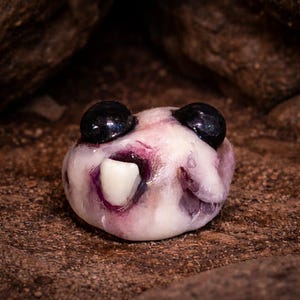 Chip the Compact Chaos CLUGSS