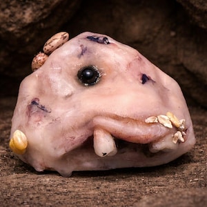 Könnte beinhalten: Eine blasse, fleischige, amorphe Skulptur mit einem einzelnen dunklen, glänzenden Auge, einer ausgeprägten Unterlippe und einem sichtbaren Zahn. Die Oberfläche ist mit kleinen, eingebetteten hellbraunen Bohnen und haferartigen Flocken texturiert.