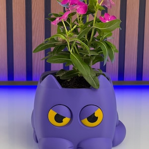 Interactive Cat Planter, Moving Eyes, Self-Watering, Grumpy Mood Indicator - SAME DAY SHIPPING
