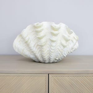 May include: A large, off-white giant clam shell featuring a deeply scalloped, wavy edge and a textured, ribbed exterior surface. The shell displays natural variations in its matte finish, with prominent ridges and deep, curved indentations.