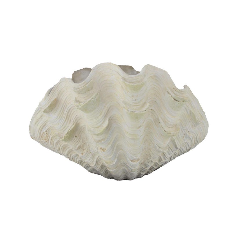 May include: A large, off-white giant clam shell featuring a deeply scalloped, wavy edge and a textured, ridged exterior surface. The shell has a wide, open cavity with a smooth, matte interior finish, showcasing natural organic curves and patterns.
