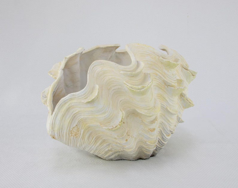 May include: A decorative bowl shaped like a giant clam shell with a textured, wavy exterior in shades of off-white, cream, and pale yellow. The object features a deep, open center with a smooth interior surface and a rugged, scalloped rim.