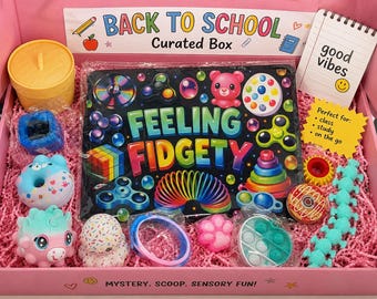 Curated Squishy & Fidget back to school zipper pouch with squishys included