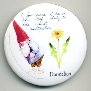 Vintage Gnome Magnet or Pinback Buttons: Gnome Remedies, Dandelions for Constipation