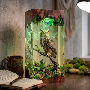 Può includere: Una lampada rettangolare in legno e resina trasparente con un gufo dettagliato appollaiato su un ramo all'interno. L'interno contiene muschio verde, piccoli funghi ed effetti di luce verde vorticosi, racchiusi tra blocchi di legno.