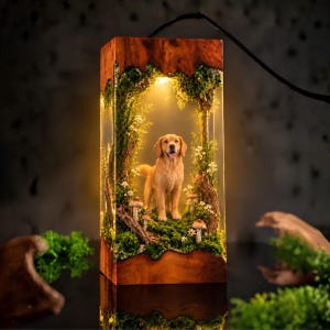 Può includere: Una lampada rettangolare con una statuetta di golden retriever racchiusa in resina trasparente e legno. L'interno contiene muschio, piccoli fiori bianchi e funghi in miniatura, illuminati da una calda luce interna proveniente dall'alto.