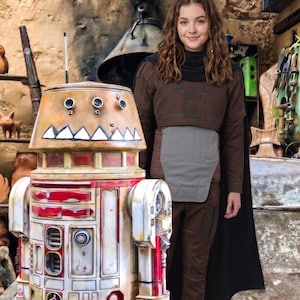 May include: A cylindrical droid with a weathered tan and red finish, featuring a row of triangular teeth on its dome, standing beside a person wearing a brown long-sleeved tunic, a grey chest plate, and a dark cape in a rustic, stone-walled setting.