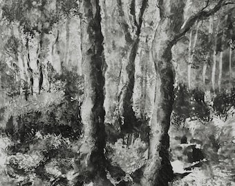 Inktstudie 1 van Nathalie JAGUIN - collectie "paden onder de bossen en rivieren van Bretagne".