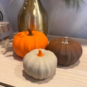 Può includere: Tre zucche decorative di colori diversi: una zucca arancione brillante con un picciolo marrone, una zucca marrone scuro con un picciolo chiaro e una piccola zucca color bianco sporco con un picciolo arancione brillante, tutte con texture a coste.