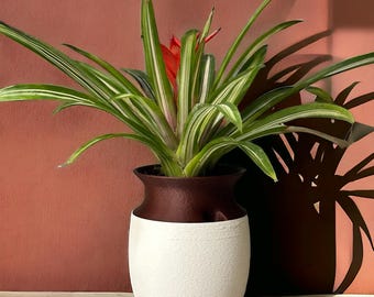 Maceta con autorriego / Maceta minimalista para interiores / Decoración moderna para el hogar / Ligera y ecológica