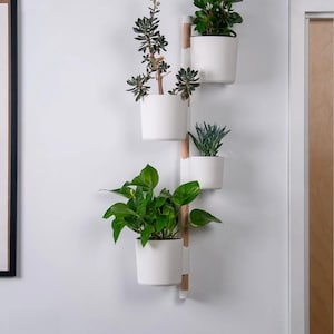 Può includere: Un supporto verticale da parete per piante con un palo centrale in legno chiaro e quattro vasi cilindrici bianchi fissati ad altezze diverse. Ogni vaso contiene una pianta verde diversa, tra cui una succulenta e una pianta a foglia.
