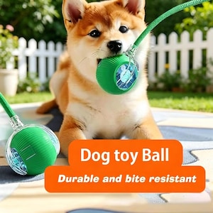 Peut inclure: Un chien Shiba Inu avec une balle verte dans la gueule. La balle a une section circulaire transparente avec un motif à l'intérieur. Le texte "Dog toy Ball" et "Durable and bite resistant" est sur une bannière orange.