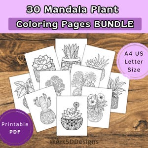 Op de afbeelding: Een bundel van 30 mandala plant kleurplaten. De pagina's bevatten verschillende plantenillustraties in potten, met de tekst "Coloring Pages BUNDLE". De pagina's zijn gelabeld met "A4 US Letter Size" en "Printable PDF". Het ontwerp bevat de naam van de kunstenaar.
