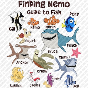 Finding Nemo png, Dory Clipart, Bruce Shark-sublimatie, Crush Turtle digitale download, Finding Dory DTF, Marlin Squirt Gill, png