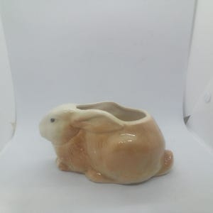 May include: A ceramic planter shaped like a crouching rabbit with a glossy light brown finish. The rabbit has a cream-colored face, a small black eye, and a hollow opening on its back for holding small items or plants. The surface is smooth.