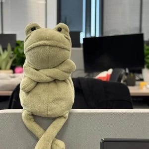 Nuevo peluche de Jellycat Little Fergus Frog, súper lindo y suave.