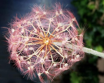 Roze neppaardebloemboeket, kunstbloem woondecoratie