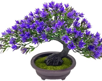 Jeneverbesbonsai nepplant in zwarte pot, klein kunstbureaudecor