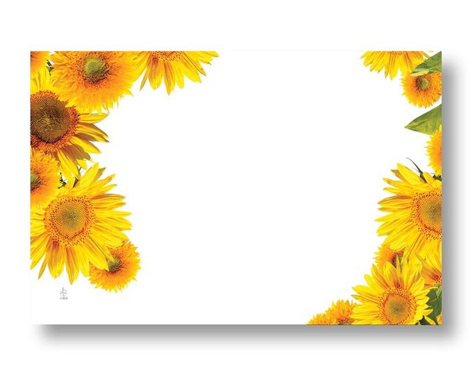 Enclosure Cards  -  CHOOSE your DESIGN - Floral Border - BLANK - set of 10 - flowers - balloon bouquets - gift baskets - floral arrangement
