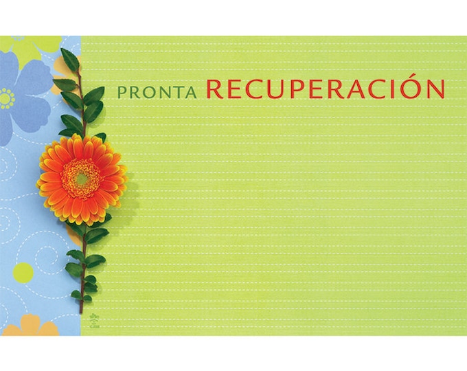 Enclosure Cards  - SPANISH - PRONTA RECUPERACION - get well soon - set of 10 -  flowers - balloon boquets - gift baskets - arrangement -