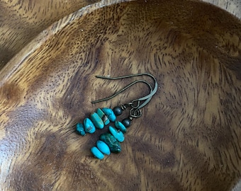 Aqua Turquoise Stone Beaded Earrings
