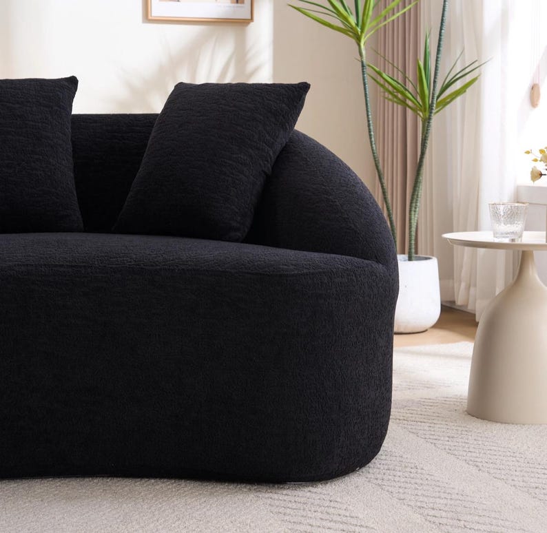May include: A contemporary black sofa with two cushions. The sofa has a curved design and a textured material. A small side table and a potted plant are visible in the background, suggesting a living room.