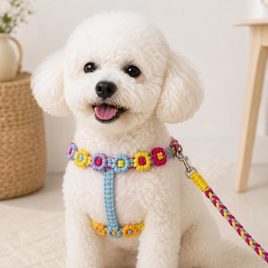 May include: A white Bichon Frise dog wearing a colorful, handmade macrame harness and leash. The harness features a floral design with yellow, pink, and blue flowers. The leash is braided with yellow, pink, and purple threads.