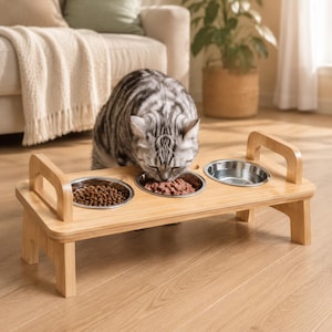 May include: A light-colored wooden pet feeder stand with three circular stainless steel bowls. The bowls contain dry kibble, wet food, and water. A silver tabby cat is eating from the center bowl. The stand features two side handles.