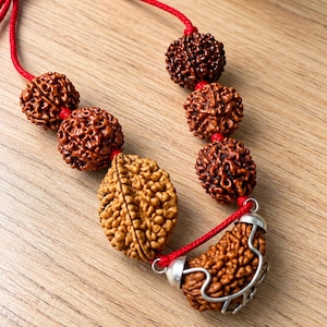 Peut inclure: Un collier composé de plusieurs perles rudraksha sphériques, texturées et brun foncé, ainsi qu'une graine ovale plus grande et brun clair. Les perles sont enfilées sur un cordon rouge vif, et une perle est insérée dans une cage en métal argenté.