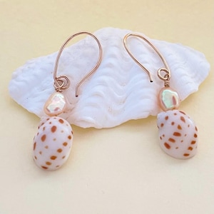 Può includere: Un paio di orecchini pendenti con ganci in filo metallico color oro, ciascuno decorato con una piccola perla iridescente e un ciondolo a forma di conchiglia bianca con macchie marroni. Gli orecchini poggiano su una grande conchiglia bianca.