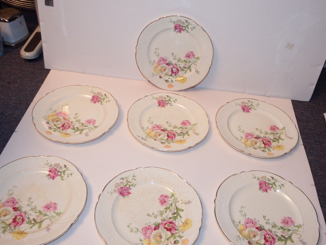 7 Taylor Smith Taylor Rose Pattern TST Dinnerware Vintage Etsy