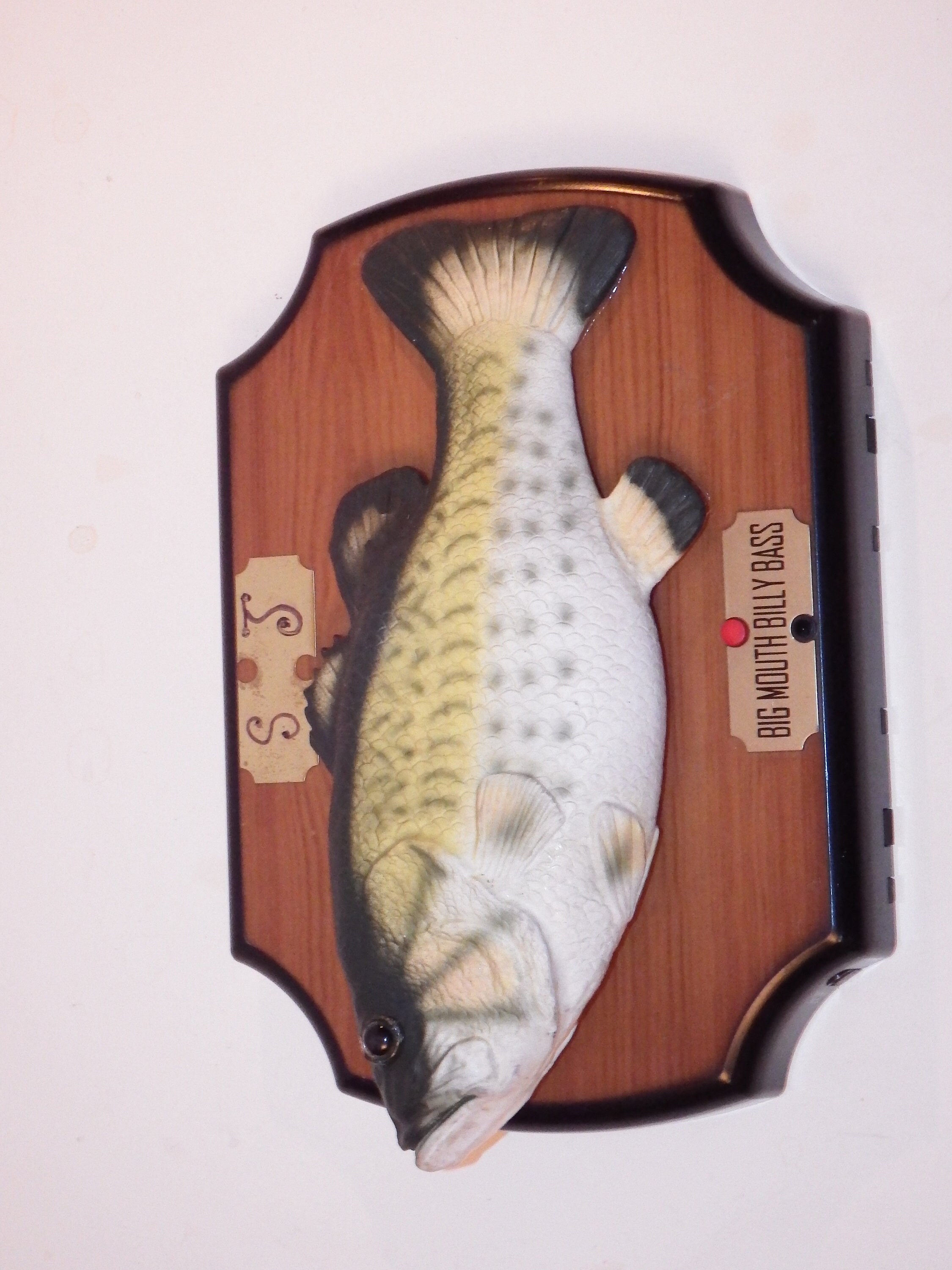 Wall Singing Fish for sale Only 2 left at 65