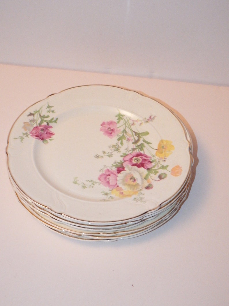 7 Taylor Smith Taylor Rose Pattern TST Dinnerware Vintage Etsy