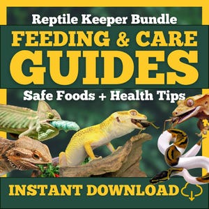 Reptile Diet Guide Bundle | Dragon, Gecko, Python, Chameleon Care (PDF)