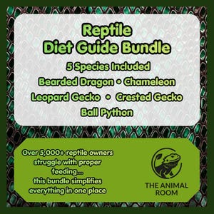 Reptile Diet Guide Bundle | Dragon, Gecko, Python, Chameleon Care (PDF)