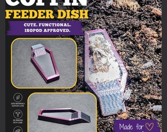 Coffin Feeder Dish for Isopods | Bioactive Terrarium Accessory