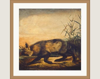 John Woodhouse Audubon Long-Tailed Red Fox Framed Print | American Wildlife Art | 12x12 Matted