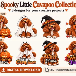 Puede incluir: Una colección digital titulada A Spooky Little Cavapoo Collection que presenta ocho ilustraciones de perros marrones de pelo rizado con temas de Halloween, incluyendo calabazas, disfraces de fantasma y sombreros de bruja, con algunos diseños que incluyen texto.