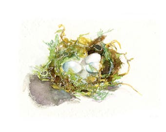 Watercolor Hummingbird Nest, Bird Nest Print, Egg Nest Print