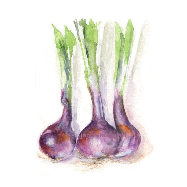 Watercolor Onions, Purple Onions Print, Vegetable Print, Onions Print, Kitchen Art