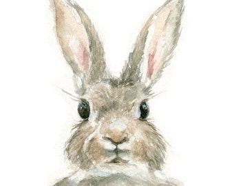 Watercolor Rabbit, Rabbit Print, Bunny Print, Animal Print, Rabbit, Jackrabbit