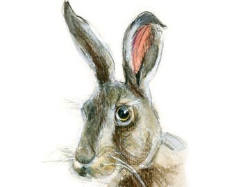 Mr. Jackrabbit, Jackrabbit Illustration, Rabbit Watercolor, Rabbit Print, Bunny Print
