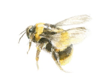 Watercolor Bee, Honey Bee Print, Bee Print