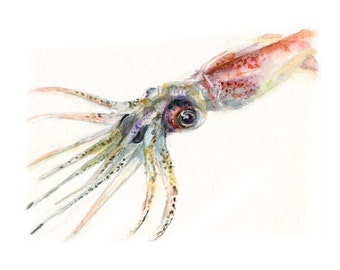 Watercolor Squid, Squid Print, Firefly Squid Print, Fish Art, Seafood Art, Fish Print