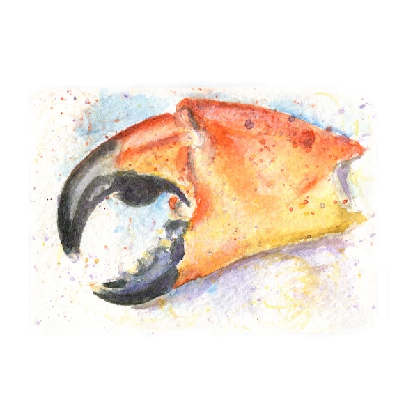 Watercolor Crab Claw Stone Crab Claw Print Claw Print Etsy Watercolor Crab Claw Stone Crab Claw Print Claw Print Etsy