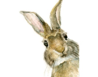 Watercolor Rabbit, Rabbit Print, Pooka Print, Jackrabbit Print, Rabbit Art