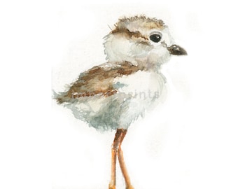 Watercolor Baby Seagull, Baby Seagull Print